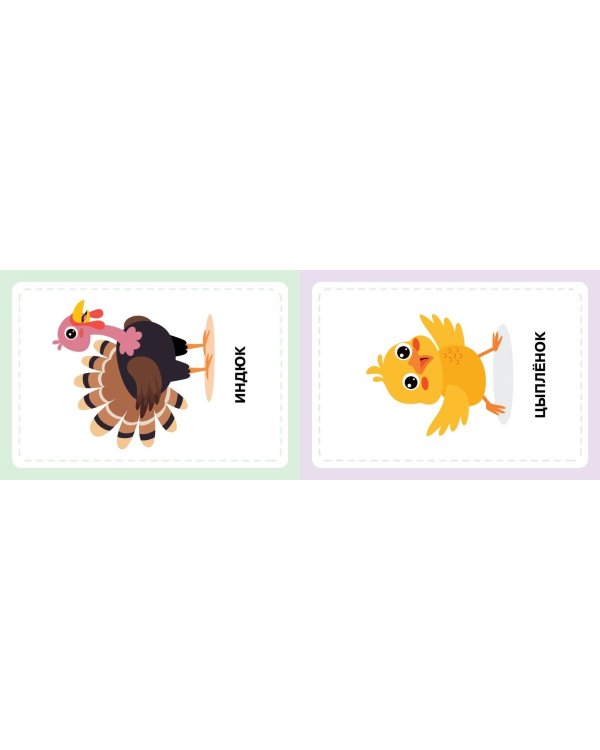 Развивающие карточки Домана. Нейротренировка малышей