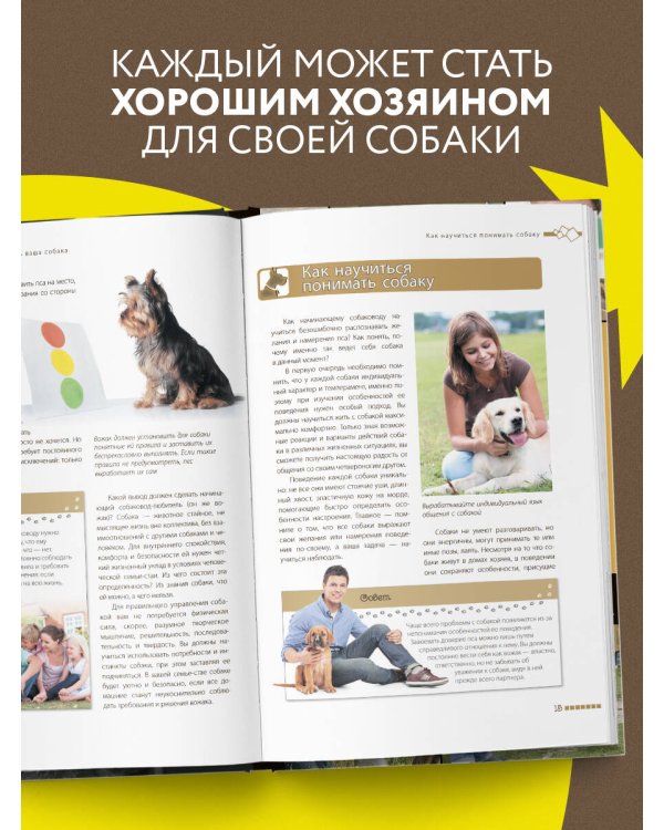 Дрессировка и воспитание собаки