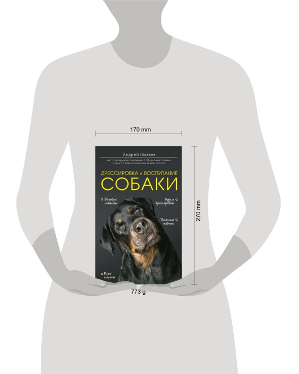 Дрессировка и воспитание собаки