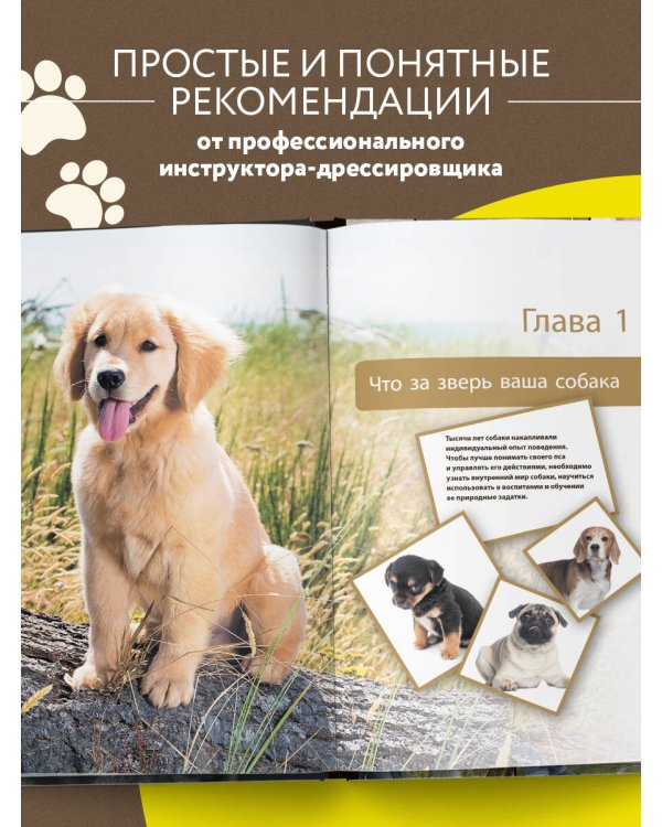 Дрессировка и воспитание собаки