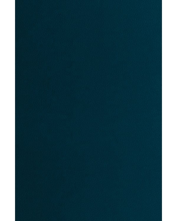 Общевоинские уставы Вооруженных Сил Российской Федерации и Устав военной полиции с воинскими символами и военными праздниками