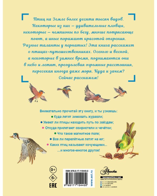 Куда летят перелётные птицы?