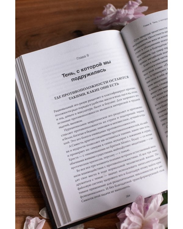 Танцующие с тенью. Архетип тени для трансформации внутренних демонов в силу и свободу