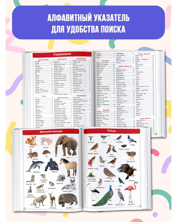 Первая иллюстрированная энциклопедия для детей