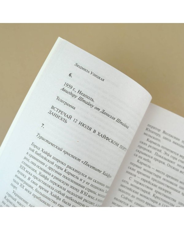 Даниэль Штайн, переводчик