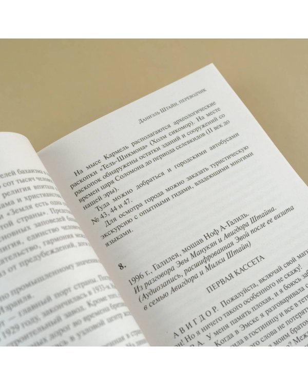 Даниэль Штайн, переводчик