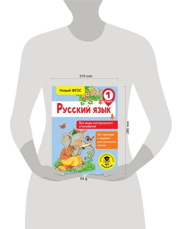 Русский язык. Все виды контрольного списывания. 1 класс