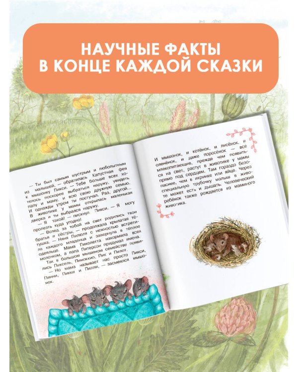 Как я родился?