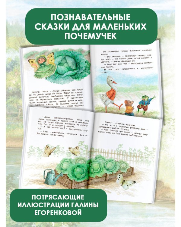 Как я родился?