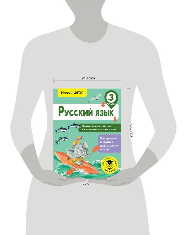 Русский язык. Правописание гласных и согласных в корне слова. 3 класс