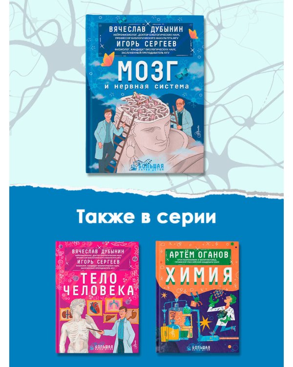 Мозг и нервная система