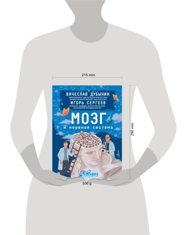 Мозг и нервная система