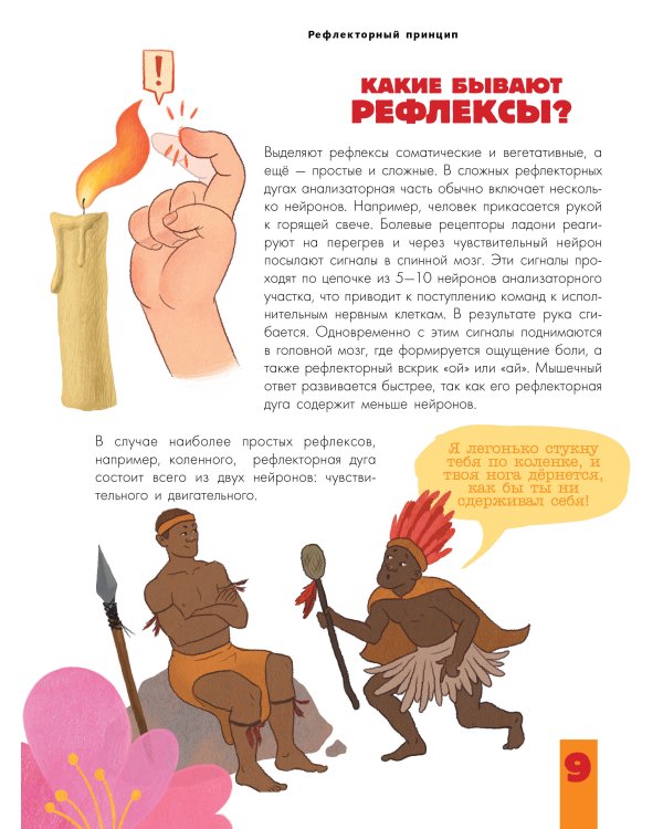 Мозг и нервная система