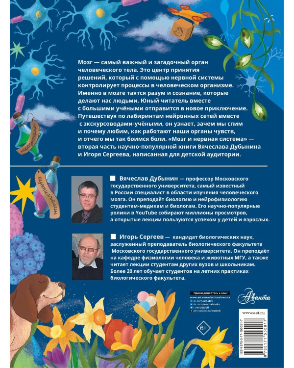 Мозг и нервная система