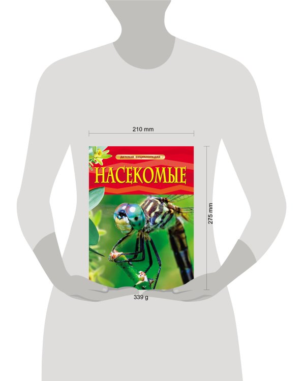 Насекомые. Детская энциклопедия