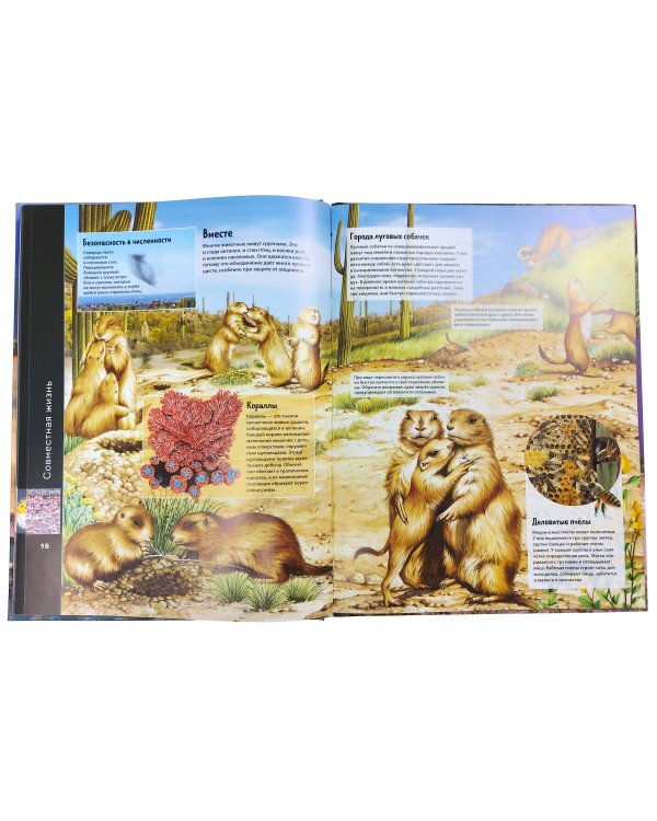 Животные. Виртуальная реальность