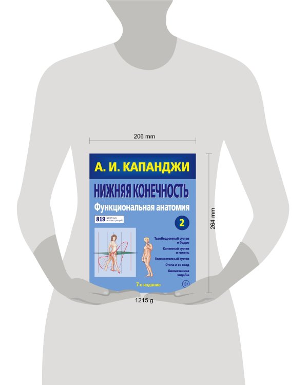 Нижняя конечность: Функциональная анатомия (обновленное издание)
