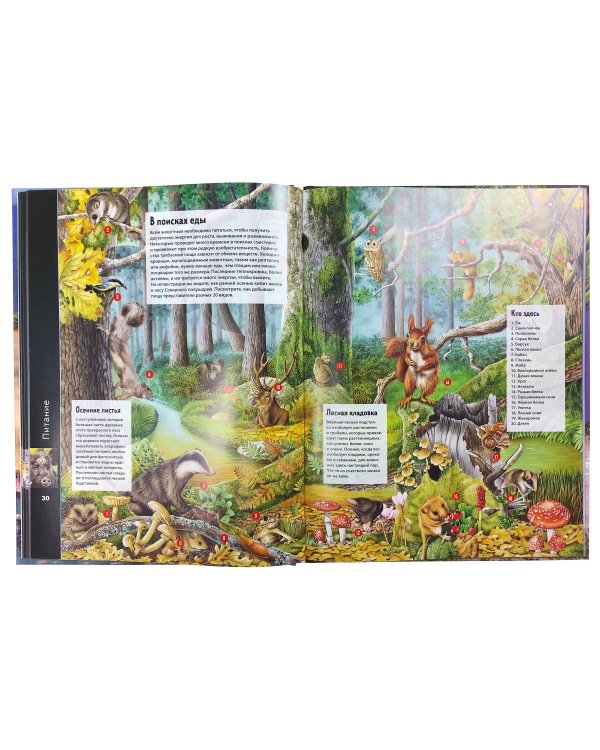 Животные. Виртуальная реальность