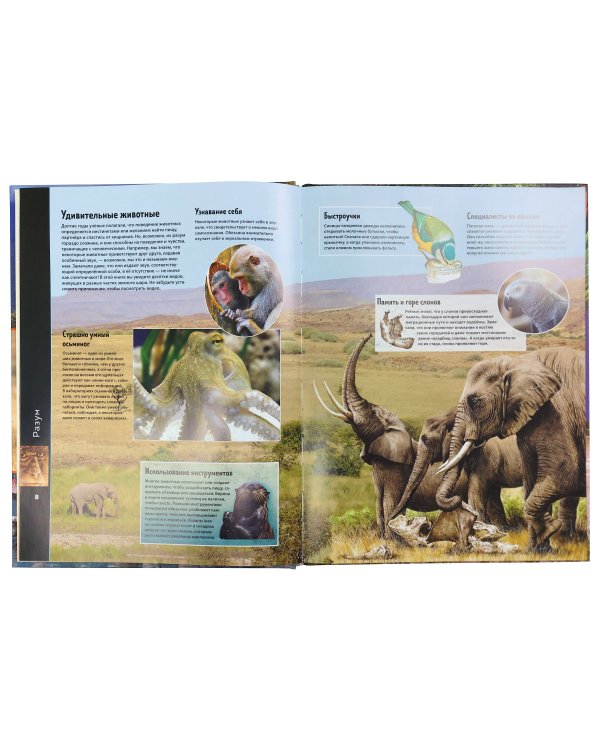 Животные. Виртуальная реальность