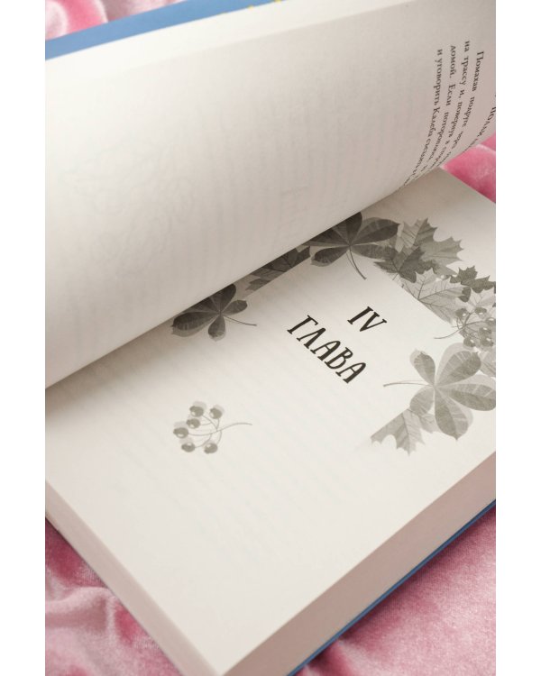 Пригласи меня на осенний бал