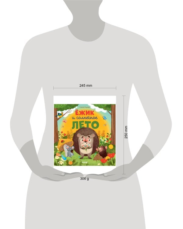 Ёжик и солнечное лето