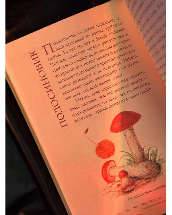 Грибы русского леса. Иллюстрированный определитель