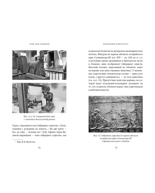Признания египтолога. Утраченные библиотеки, исчезнувшие лабиринты и неожиданная правда под сводами пирамид в Саккаре