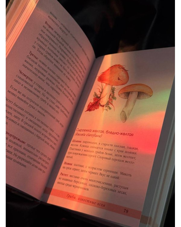 Грибы русского леса. Иллюстрированный определитель