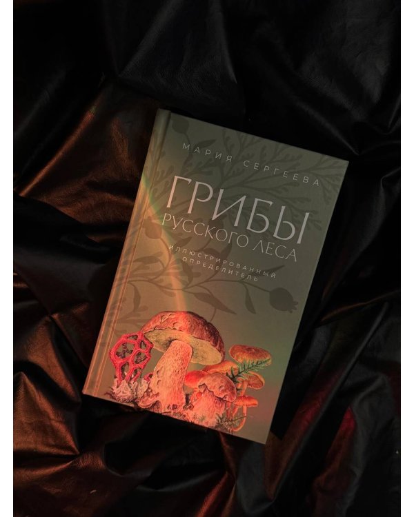 Грибы русского леса. Иллюстрированный определитель