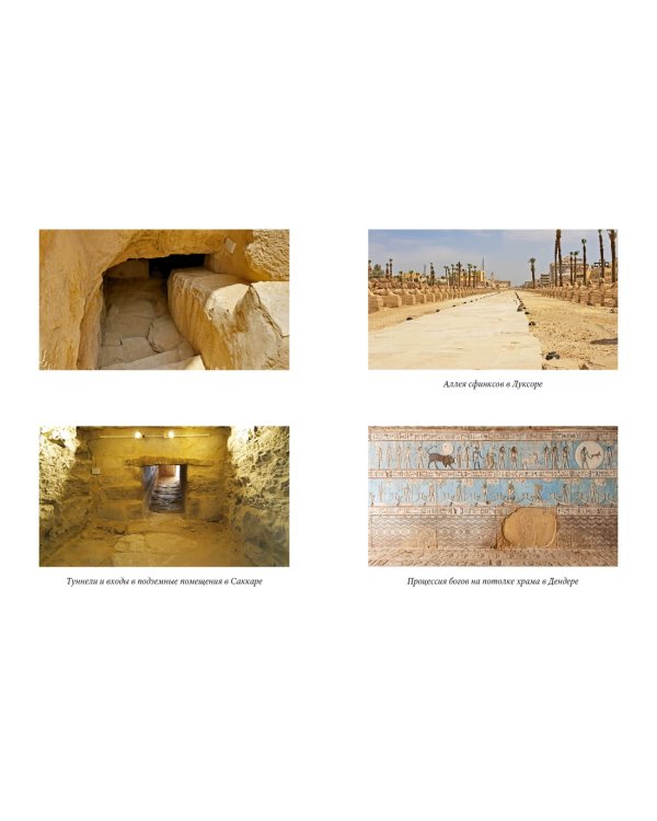 Признания египтолога. Утраченные библиотеки, исчезнувшие лабиринты и неожиданная правда под сводами пирамид в Саккаре