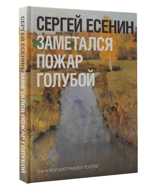 Заметался пожар голубой