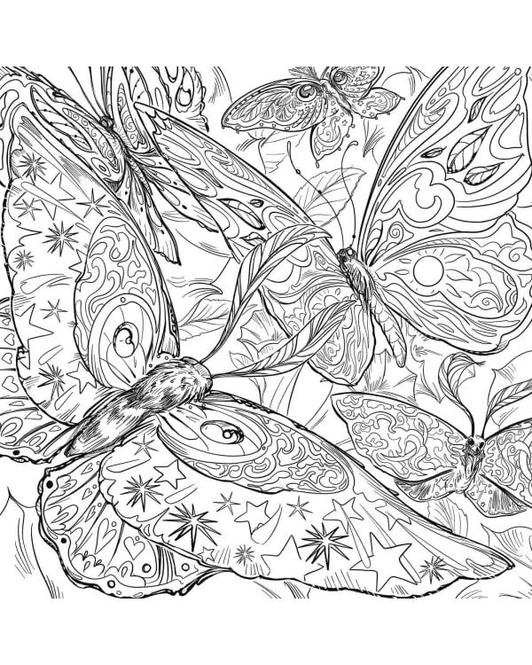 The Green Witch's Coloring Book Раскраска Зелёной Ведьмы /Книги на английском языке