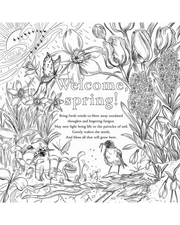 The Green Witch's Coloring Book Раскраска Зелёной Ведьмы /Книги на английском языке