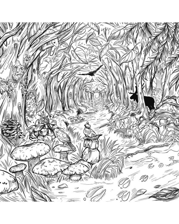 The Green Witch's Coloring Book Раскраска Зелёной Ведьмы /Книги на английском языке