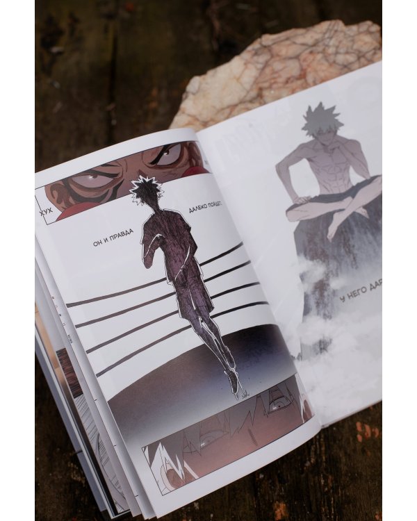 Боксер. Том 1