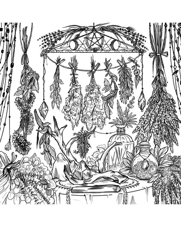 The Green Witch's Coloring Book Раскраска Зелёной Ведьмы /Книги на английском языке