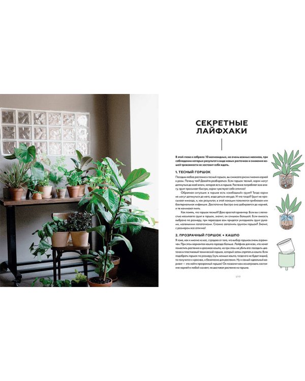 Поздравляю, у вас растение. Ты вырастишь дома джунгли, даже если все твои "бывшие" умерли