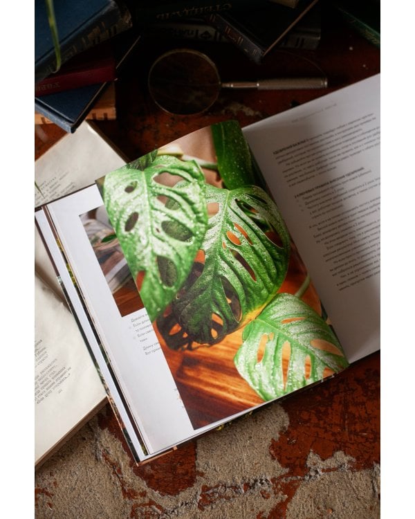 Поздравляю, у вас растение. Ты вырастишь дома джунгли, даже если все твои "бывшие" умерли