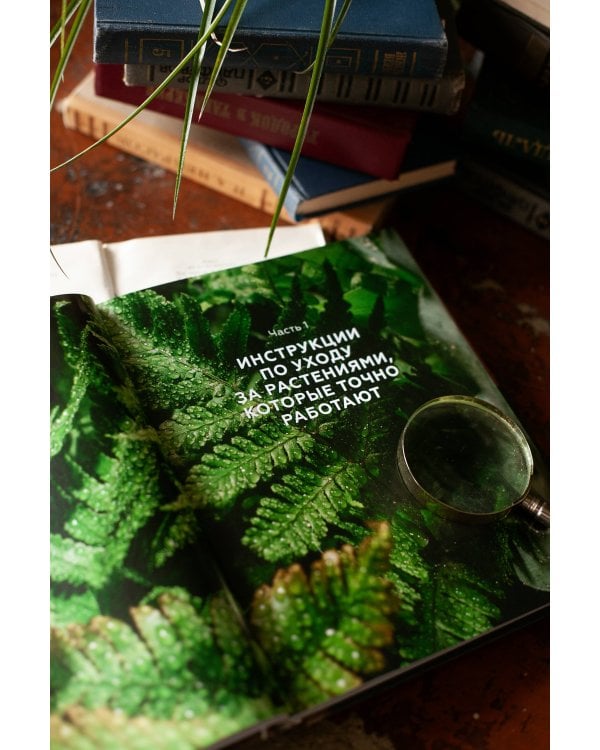 Поздравляю, у вас растение. Ты вырастишь дома джунгли, даже если все твои "бывшие" умерли