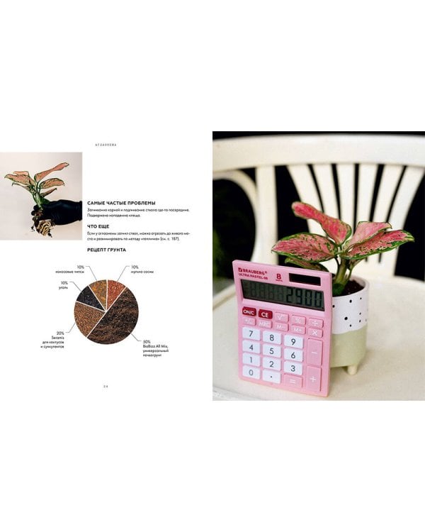 Поздравляю, у вас растение. Ты вырастишь дома джунгли, даже если все твои "бывшие" умерли