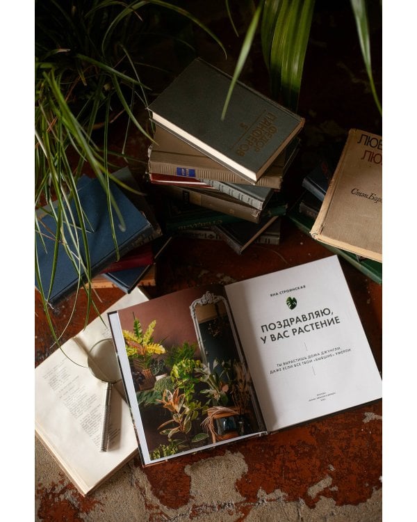 Поздравляю, у вас растение. Ты вырастишь дома джунгли, даже если все твои "бывшие" умерли