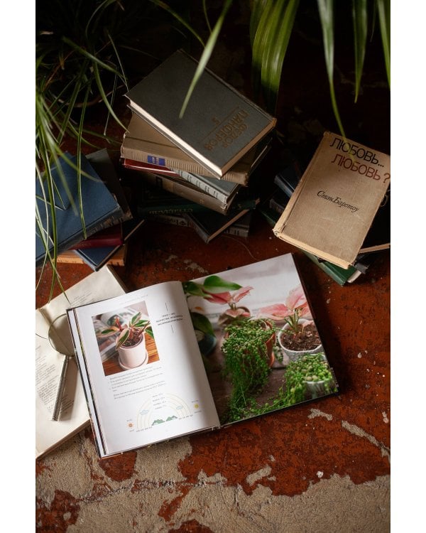 Поздравляю, у вас растение. Ты вырастишь дома джунгли, даже если все твои "бывшие" умерли