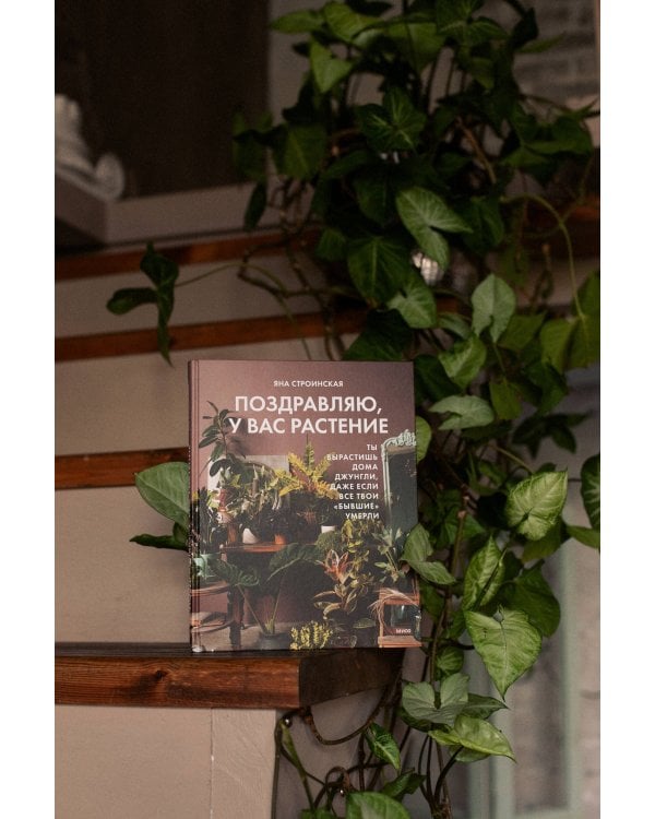 Поздравляю, у вас растение. Ты вырастишь дома джунгли, даже если все твои "бывшие" умерли