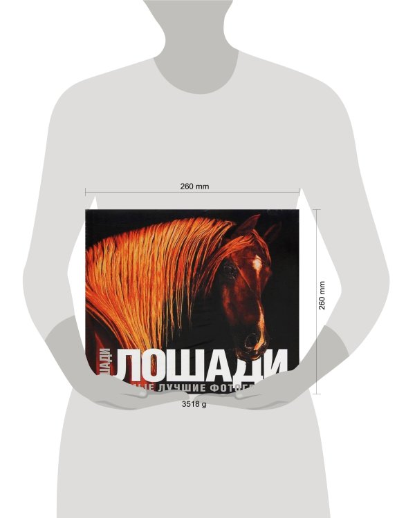 Лошади. Самые лучшие фотографии