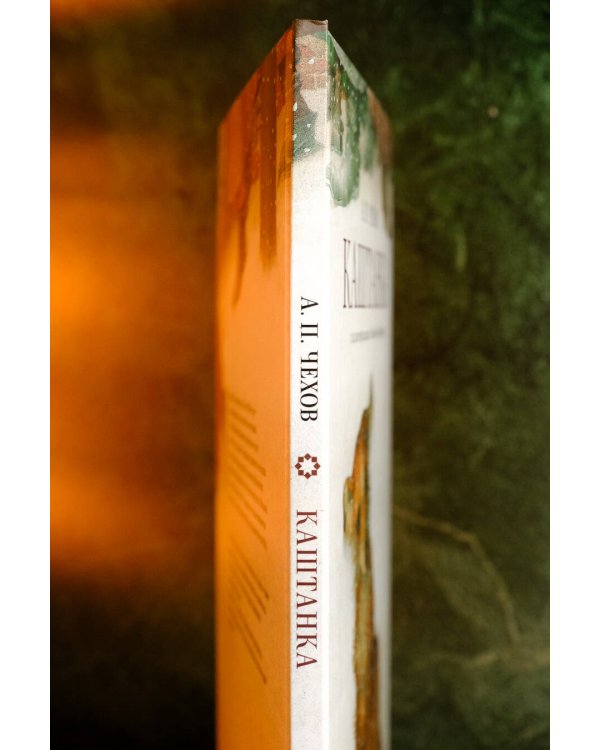 Каштанка с иллюстрациями Геннадия Спирина