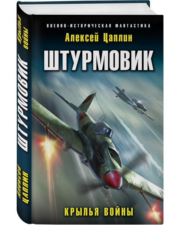 Штурмовик. Крылья войны