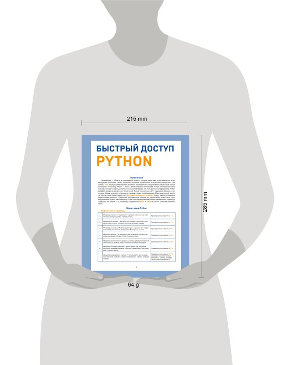 Быстрый доступ. Python: советы, функции, подсказки. Шпаргалка-буклет для начинающих (215х285 мм, 6 полос компактного буклета в европодвесе)