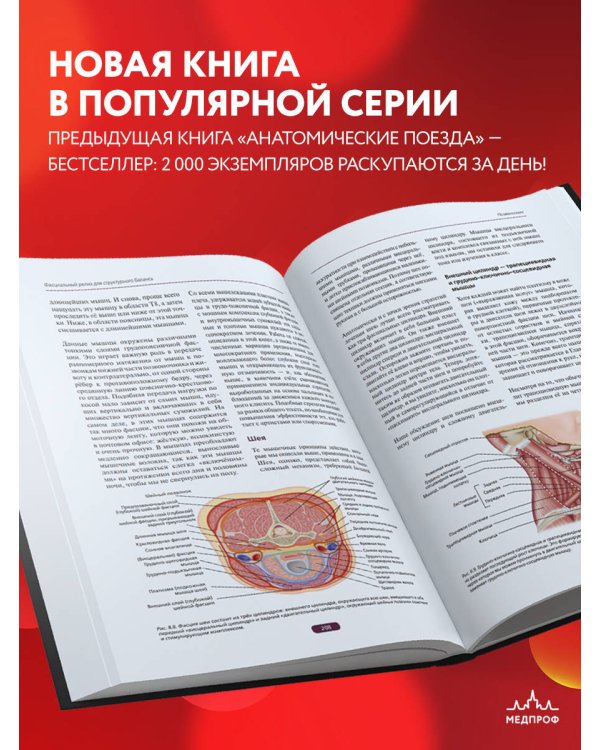 Фасциальный релиз для структурного баланса