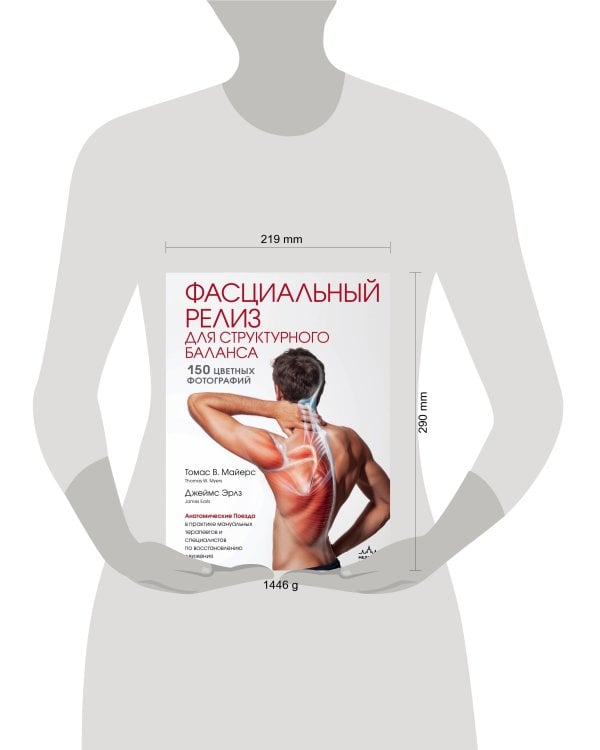 Фасциальный релиз для структурного баланса