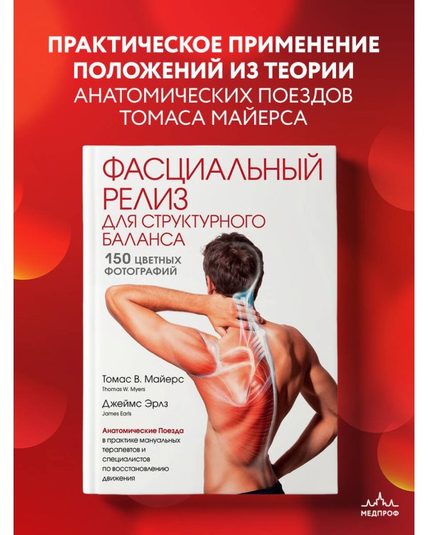 Фасциальный релиз для структурного баланса